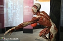 VBS_2945 - Mostra Body Worlds
